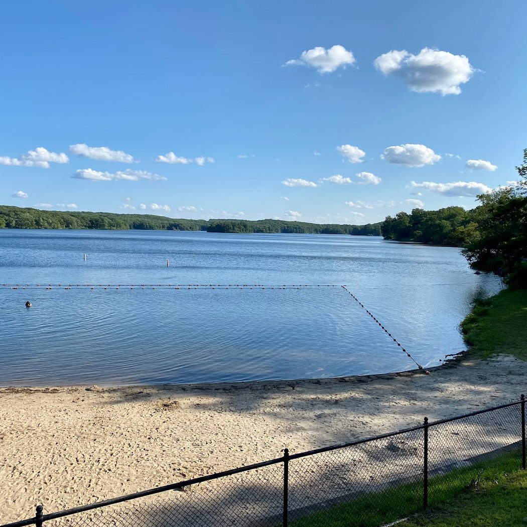 Lake Tiorati Beach 1