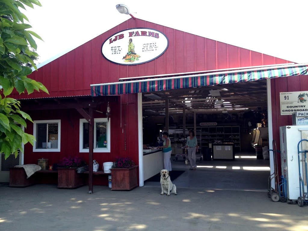 LJB Farms 3