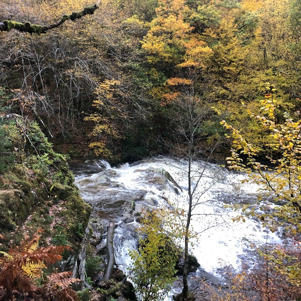 Cascade du Saut de Gouloux 5
