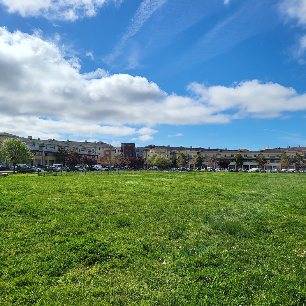 Coliseum Gardens 1