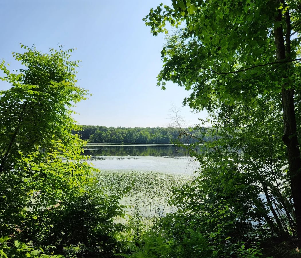Chadwick Lake Park 2