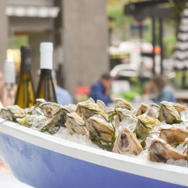 Wine Tasting and Oysters: Sip & Shuck 1