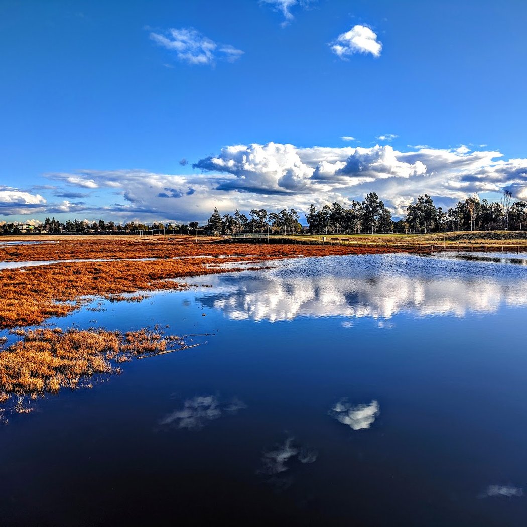 Sunnyvale Baylands Park 1