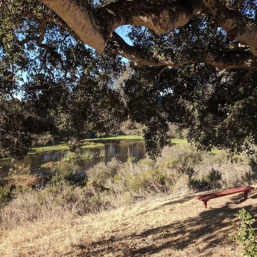 Pinto Lake County Park 1