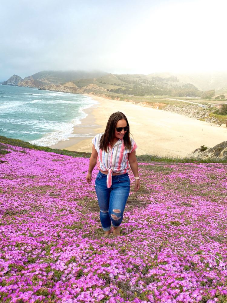 Montara Mountain Trail 1