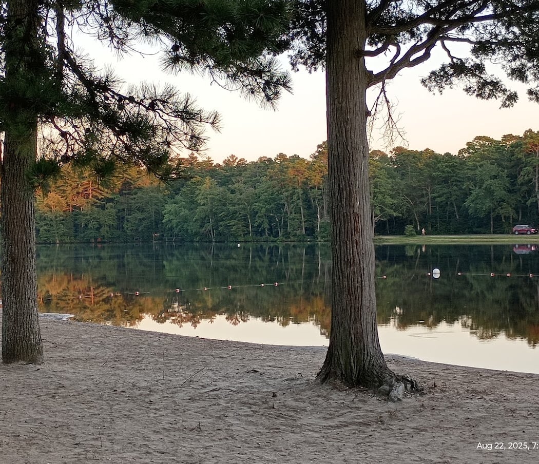 Belleplain State Forest 1