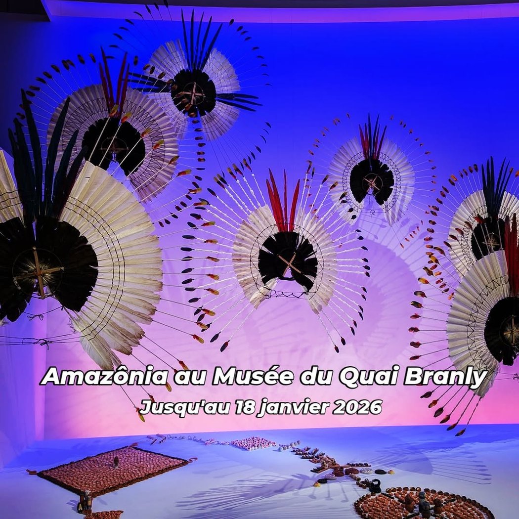 Amazonia 1