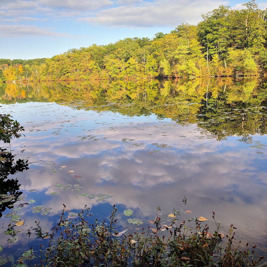 Beaches and Swimming Spots to Visit 1
