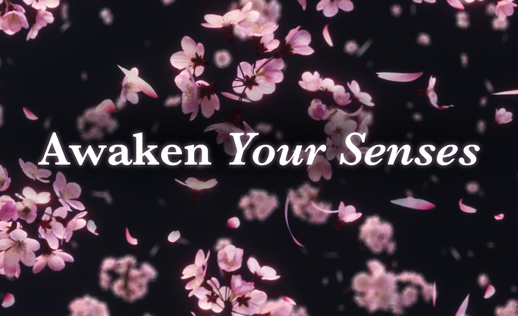tem: Experience Like Never Before