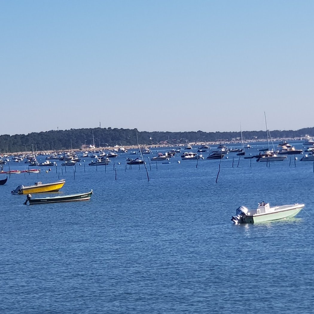 Bassin Arcachon Croisière 2