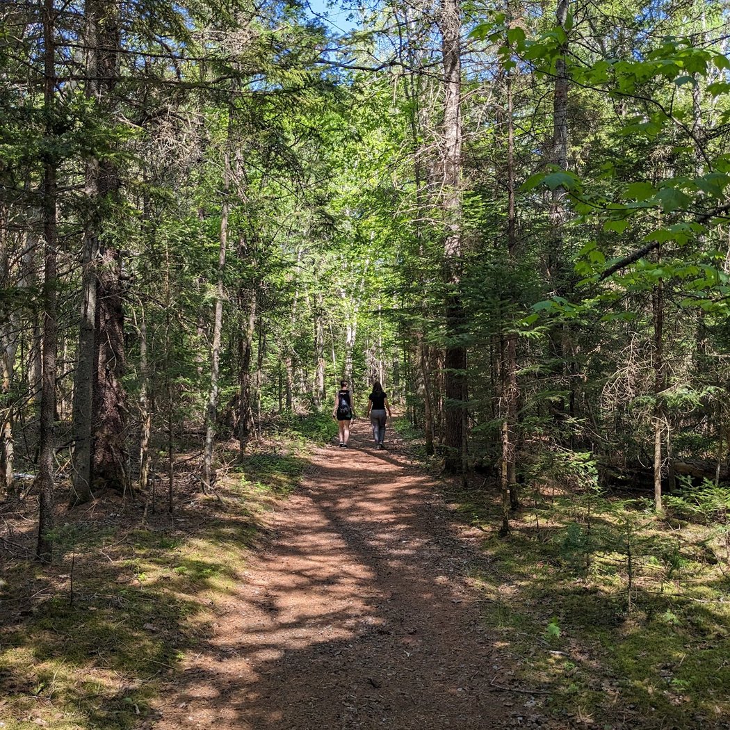 Connector Trail Trailhead & Parking 3