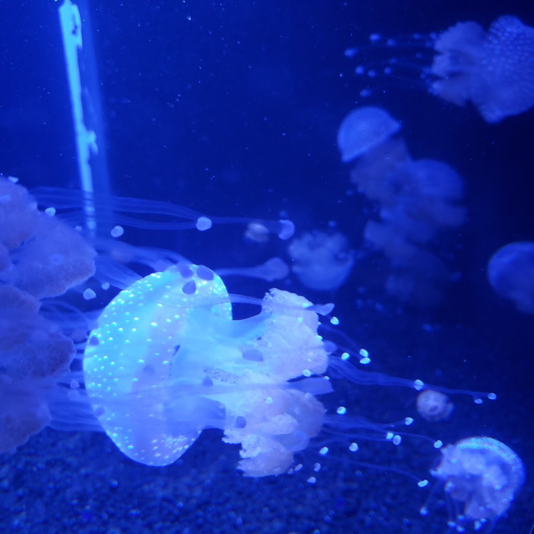 Point Defiance Zoo & Aquarium 3