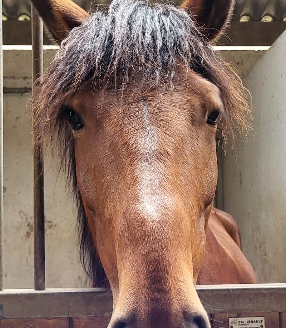 Ferme Pédagogique de Méry sur Seine 1