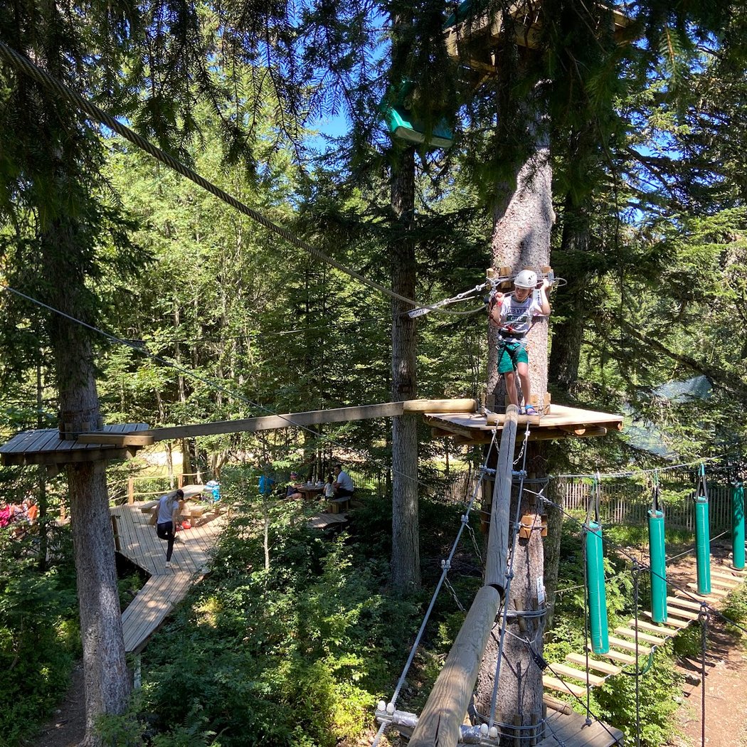 From a tree to the Other 1