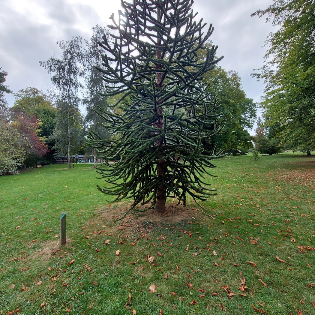Parc du Chenil 2