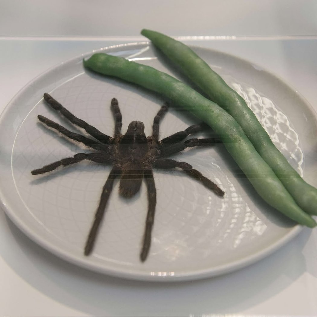 Disgusting Food Museum 2