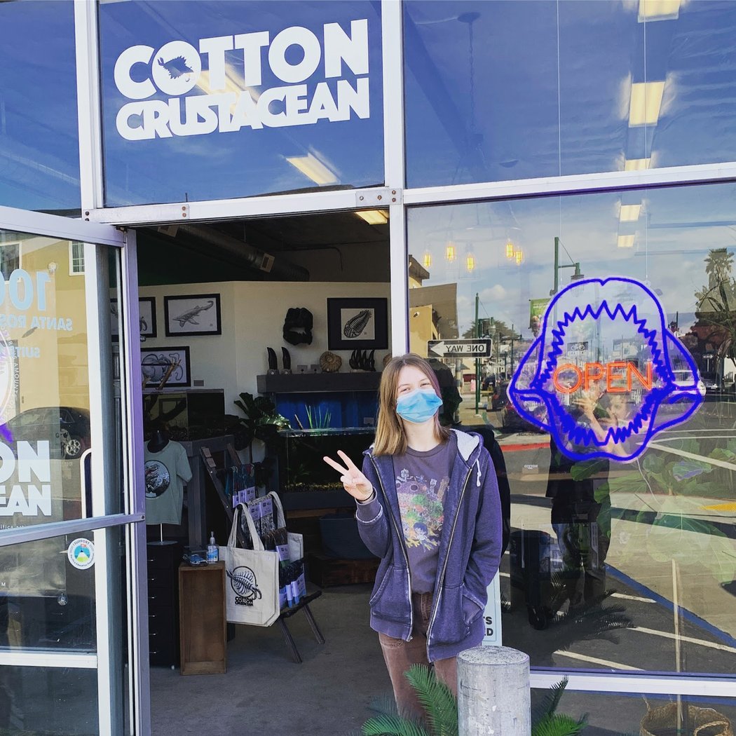 Cotton Crustacean 2