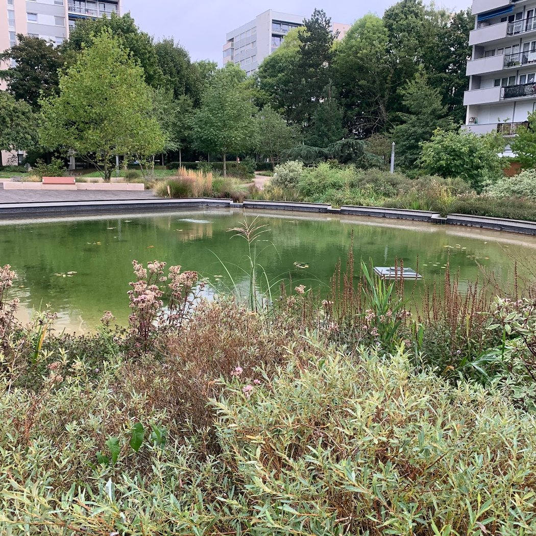 Bassin d'agrément de Louvois 2