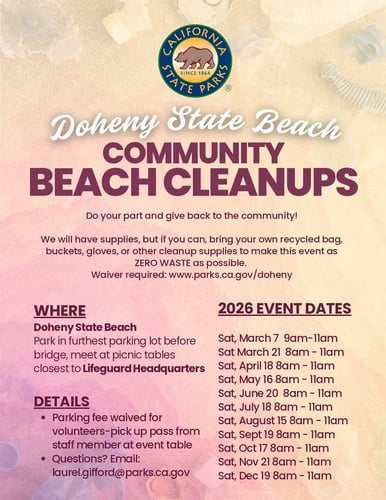 Doheny State Beach Community Beach Cleanup