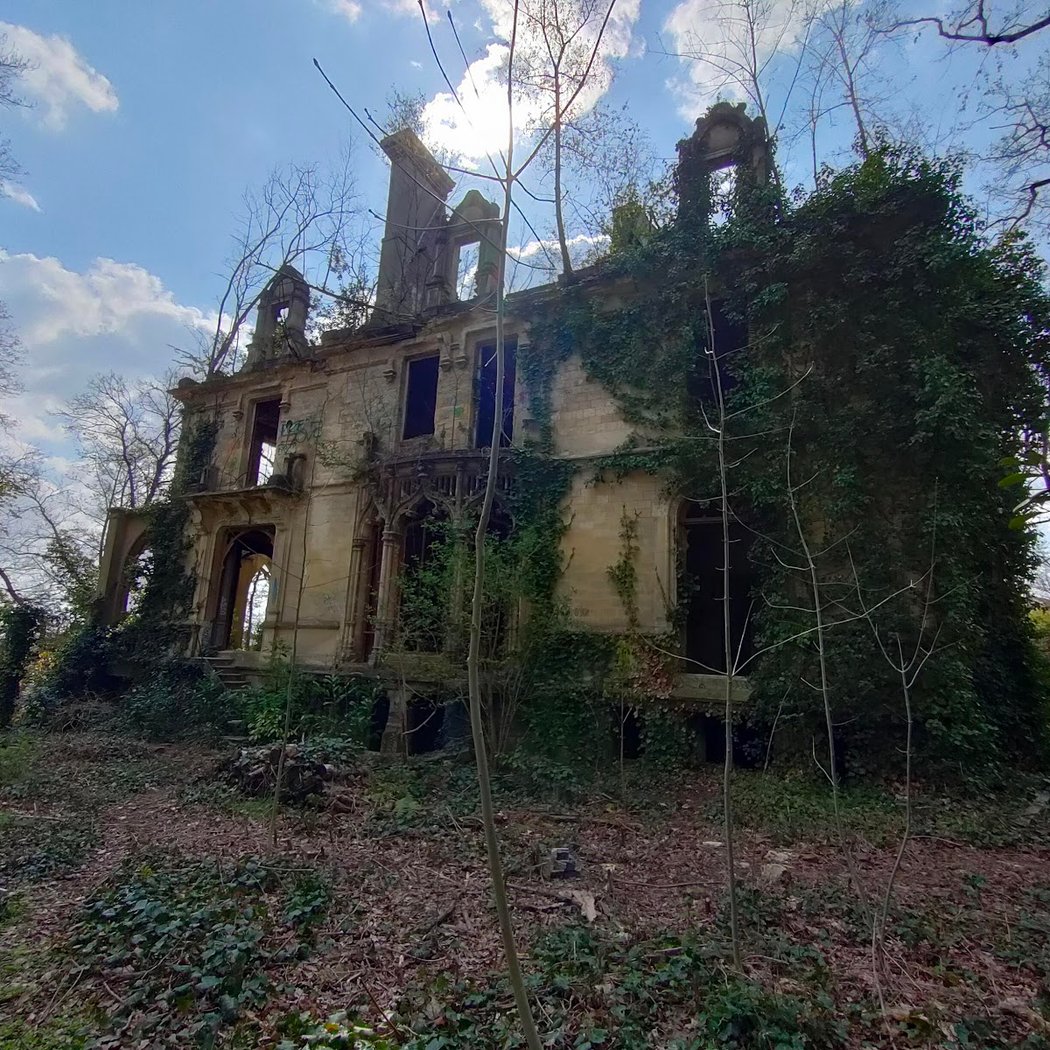 Bois de la Solitude 2