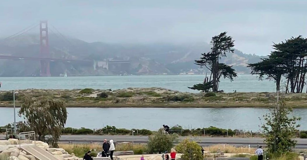 Transformation of Crissy Field 2