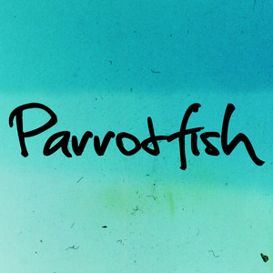 Parrotfish 1