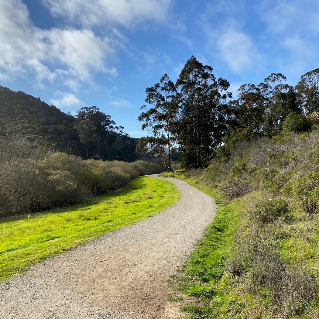 Rattlesnake Ramble 5K/10K/Half 5