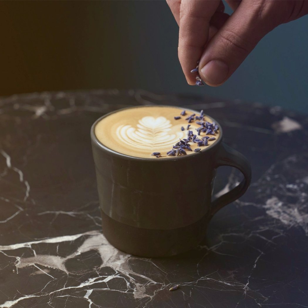 Black Oak Coffee Roasters 2