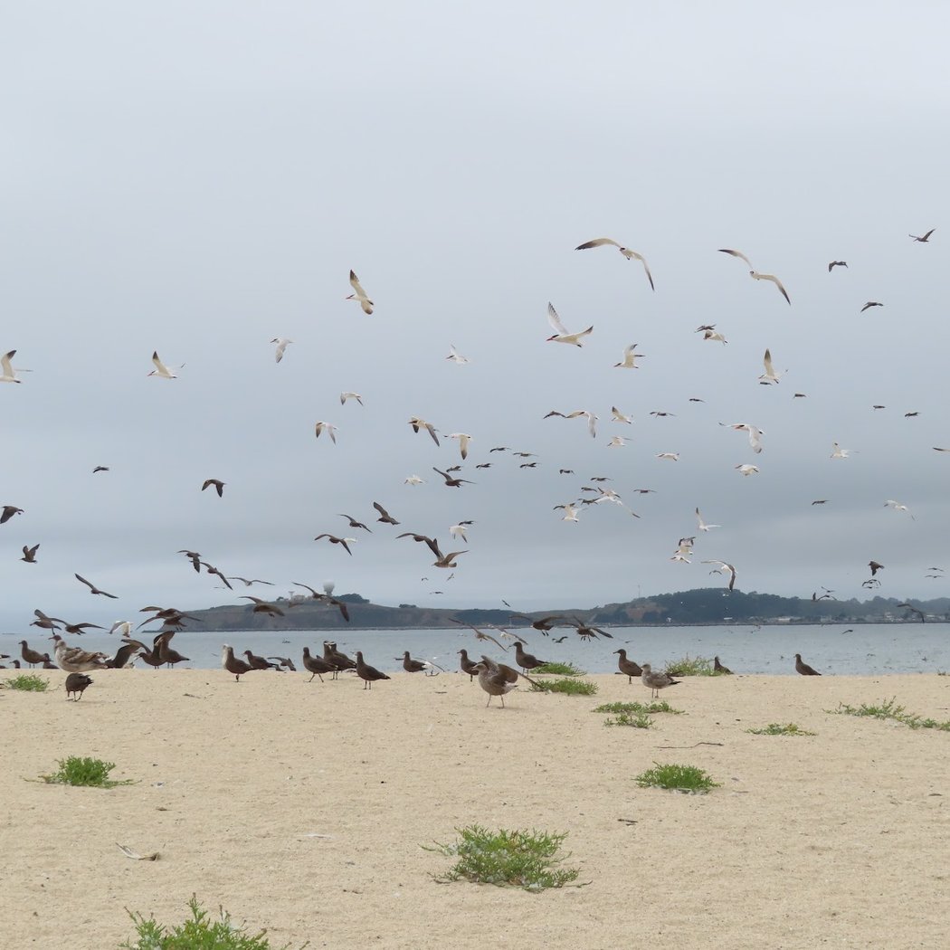 Elmar Beach 3