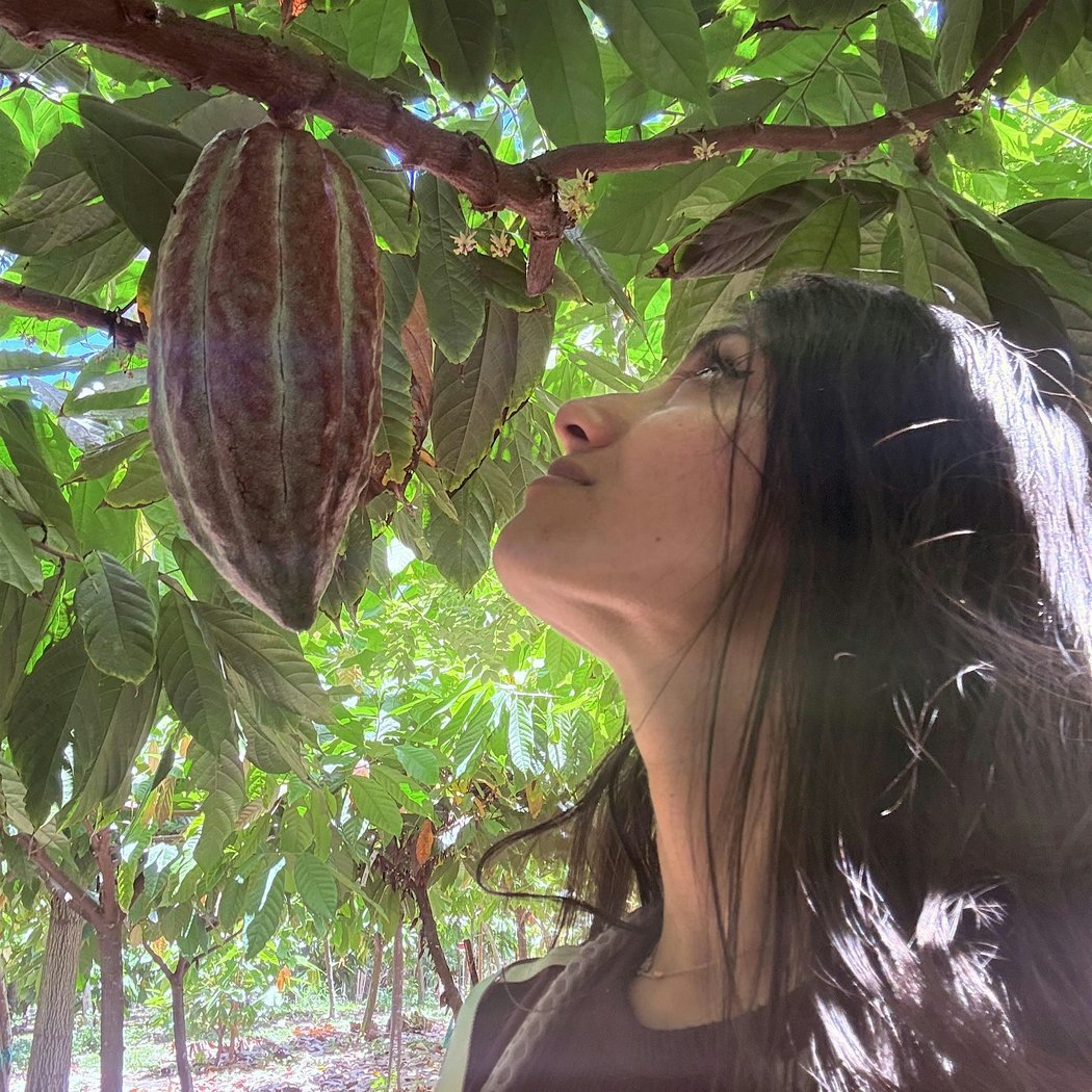 Bean To Bar In The Park - A Craft Chocolate Tasting Experience