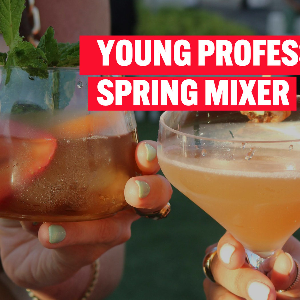 Young Professionals Spring Mixer 1