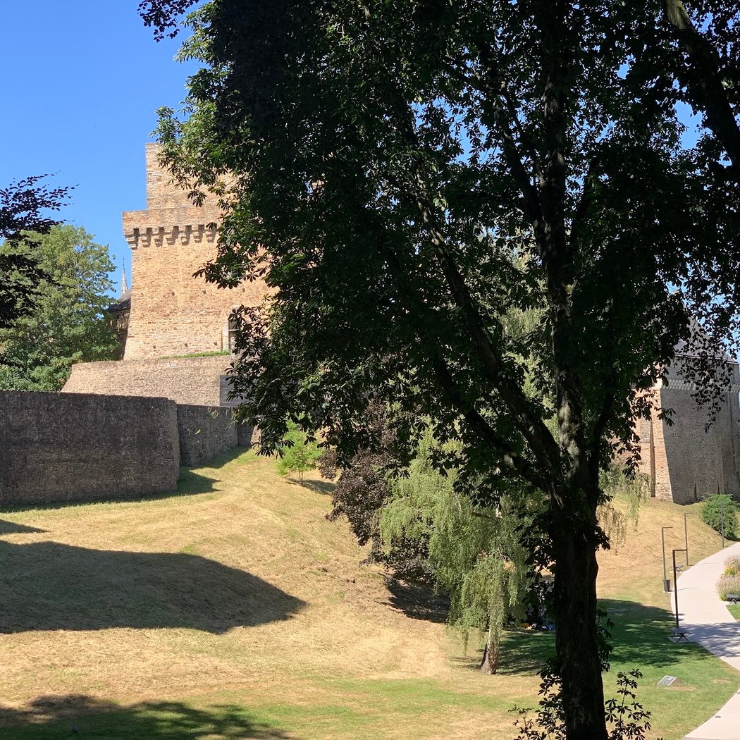 Parc du château 3
