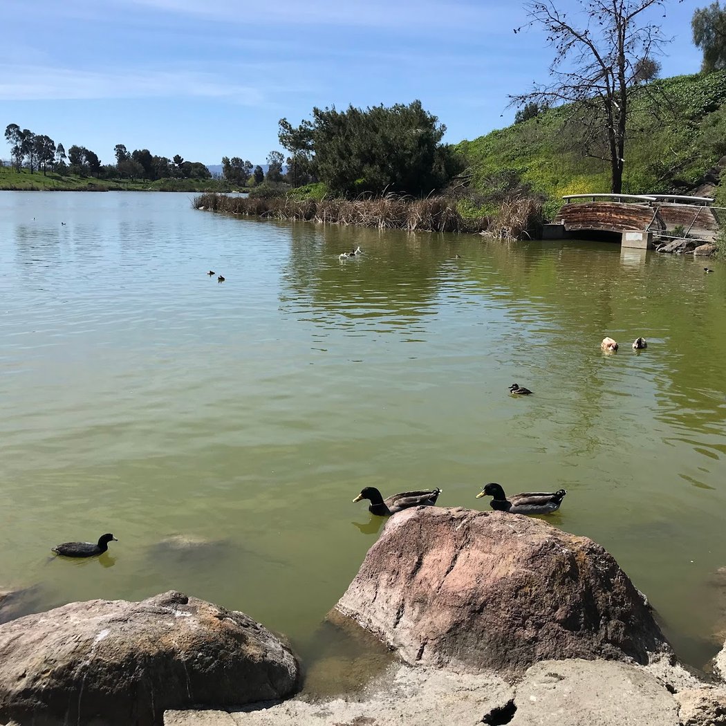 Lake Cunningham Regional Park 3