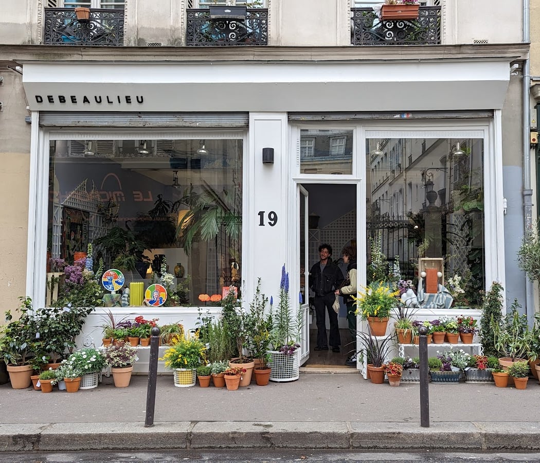 DEBEAULIEU Fleurs 2