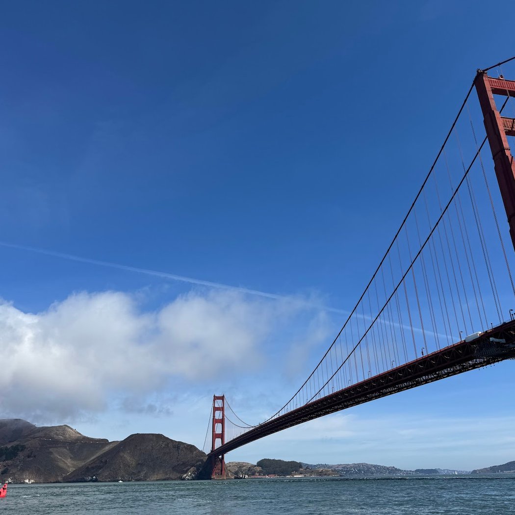San Francisco Whale Tours 3
