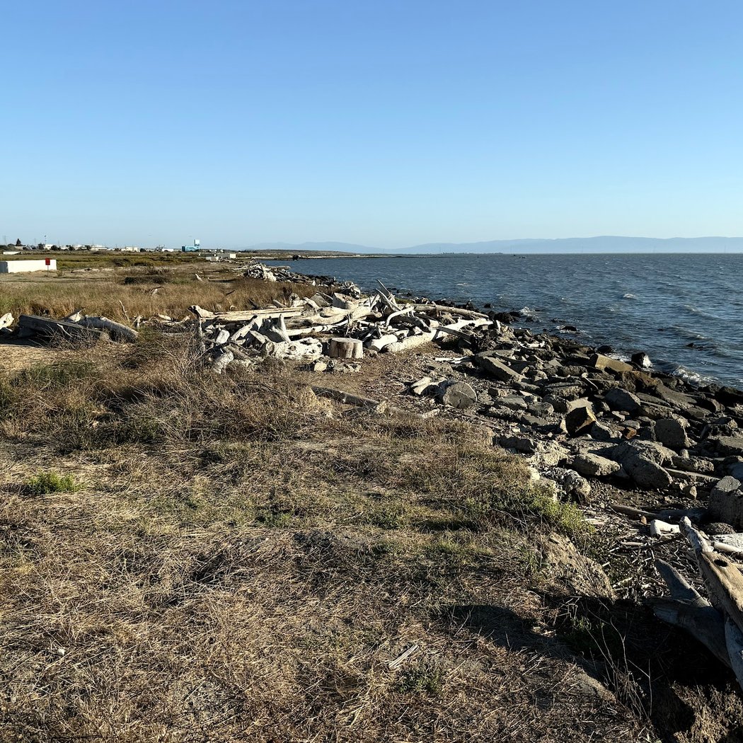 Heron Bay trail 2