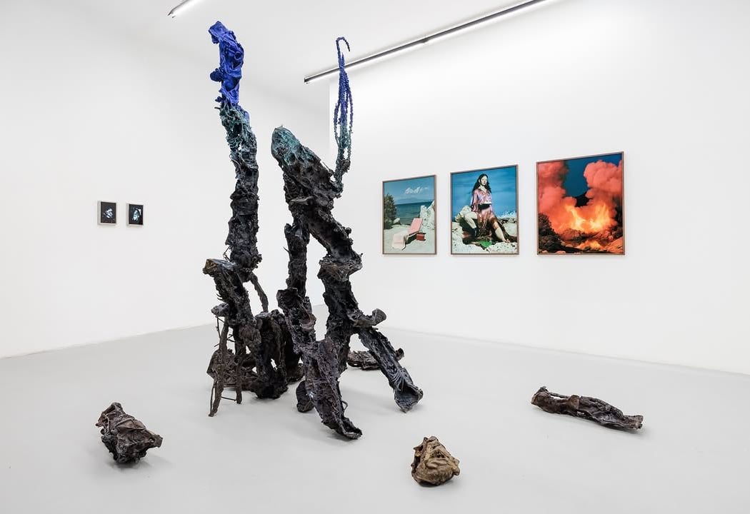 Crystin Moritz & Karl Karner exhibition 1