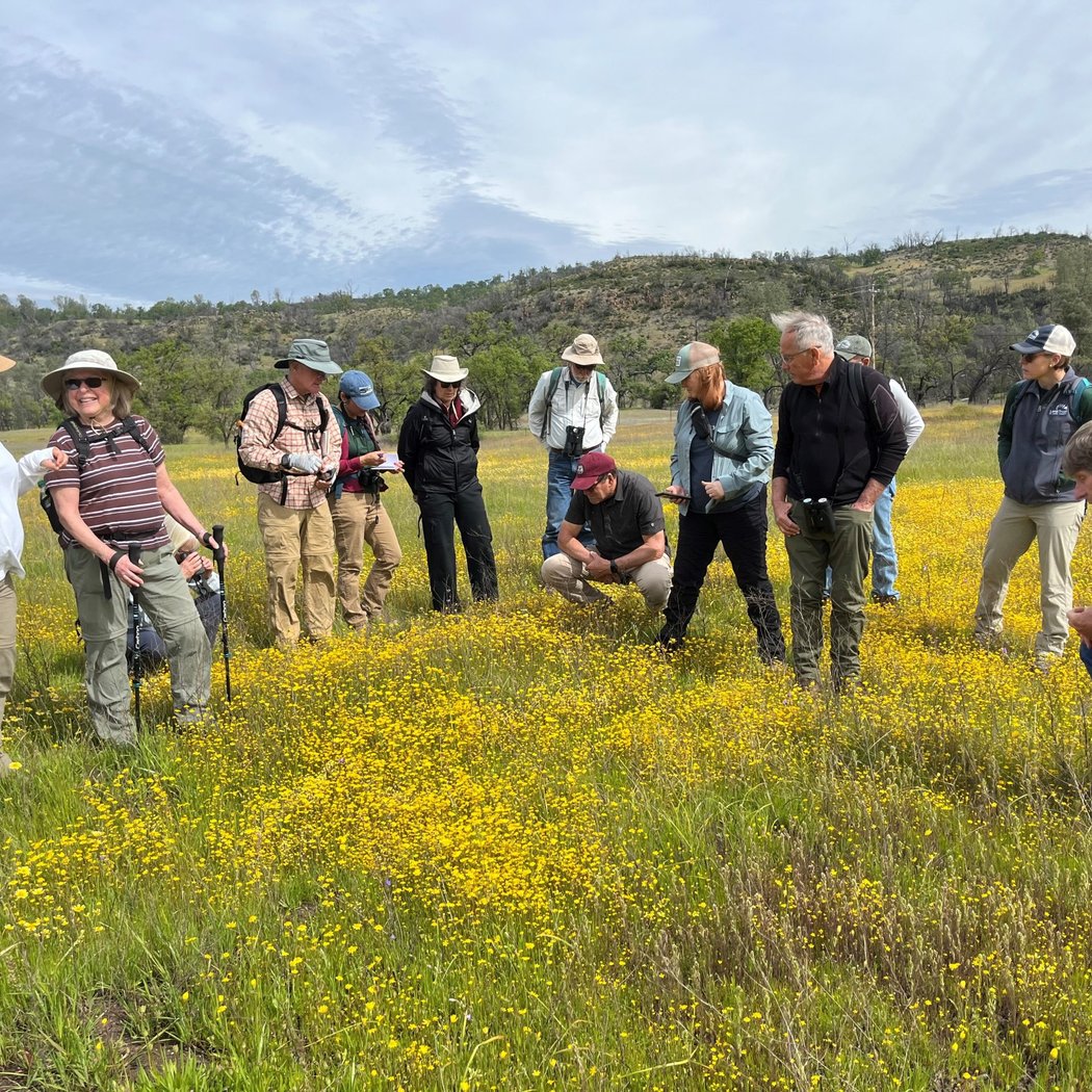 Biodiversity and Habitat Restoration Hike 1