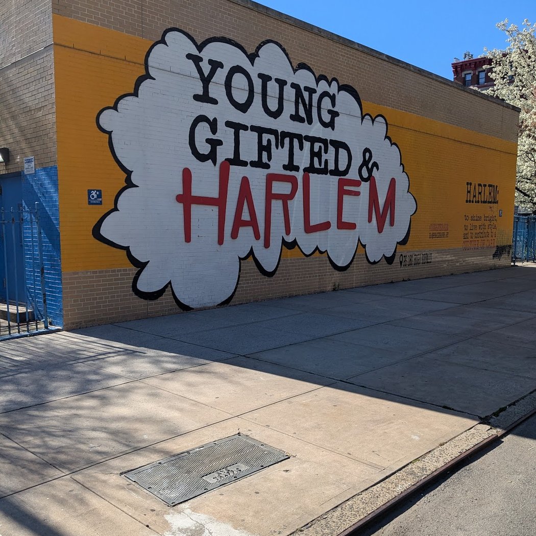 Young & Gifted Harlem 3