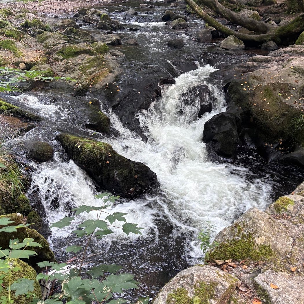 Saut des Cuves 3