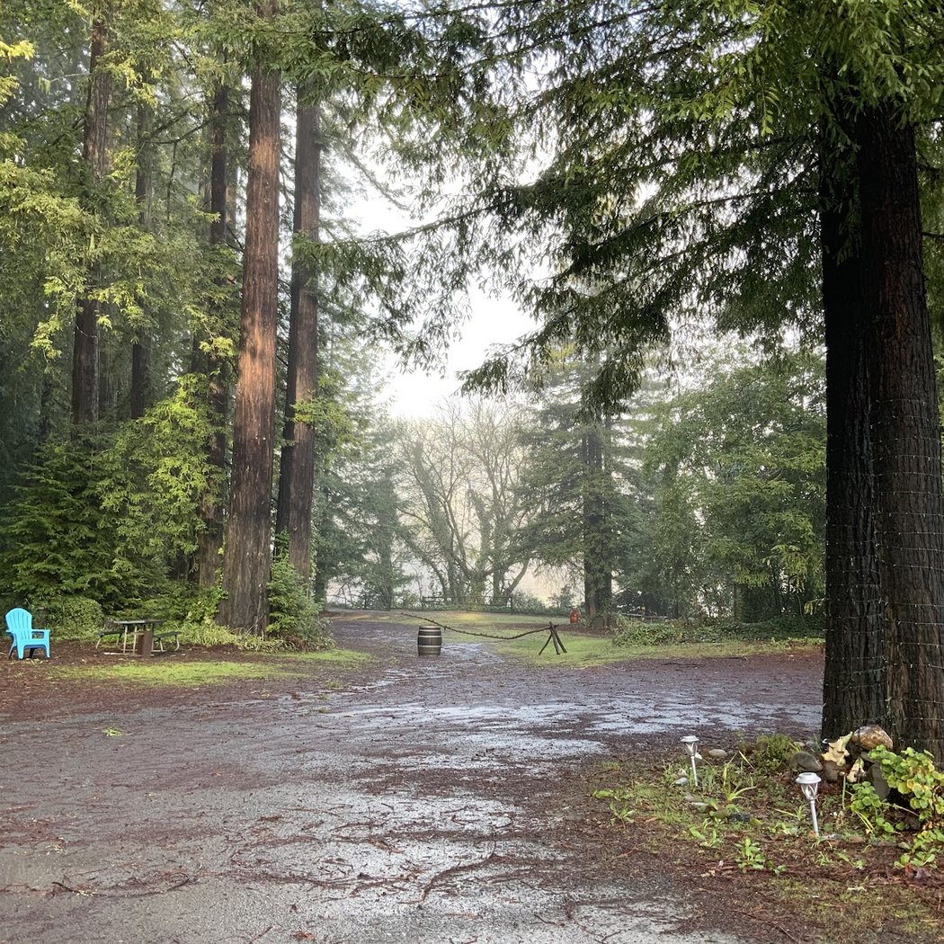 Camp Russian River 3