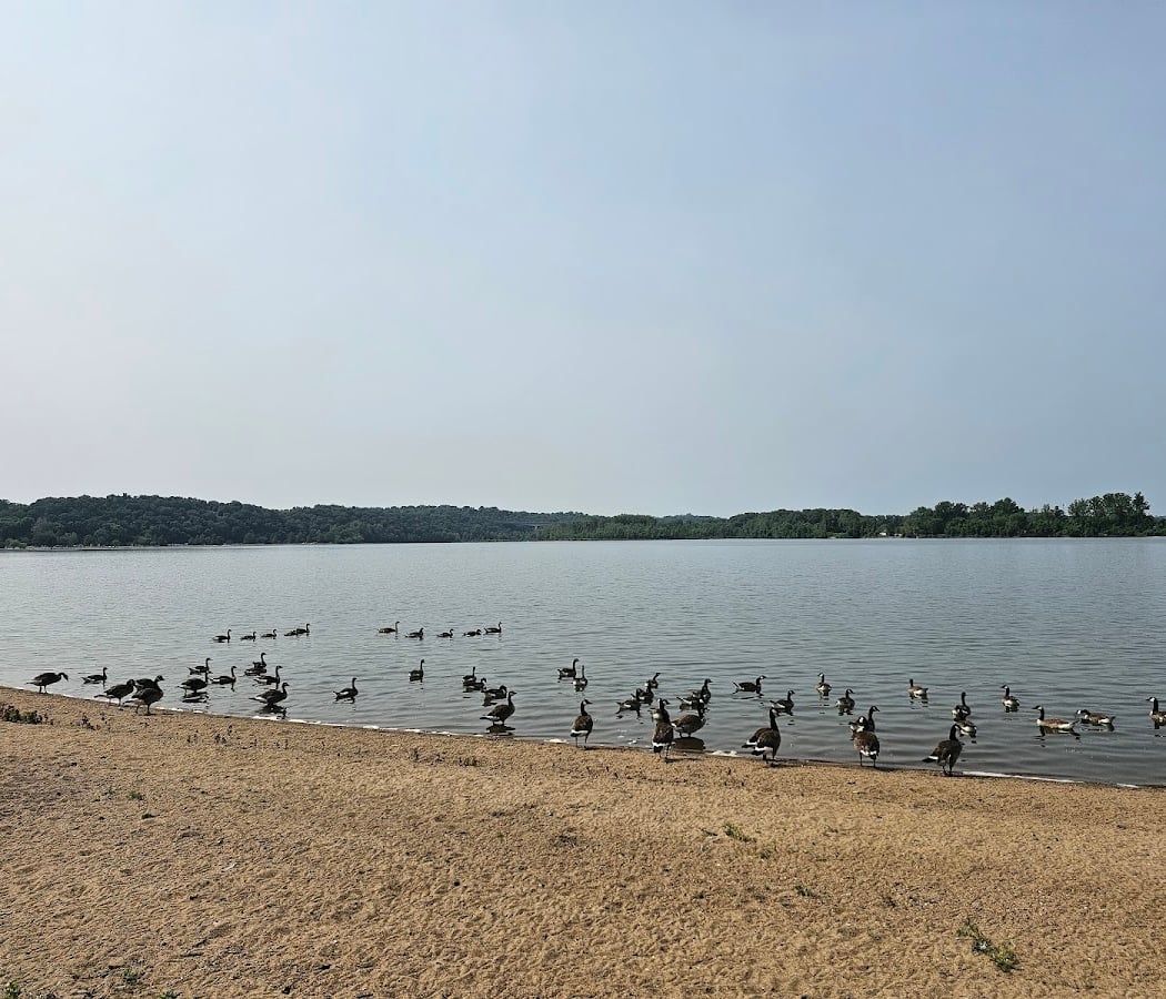 Sailboat Races at Creve Coeur Lake Memorial Park 3