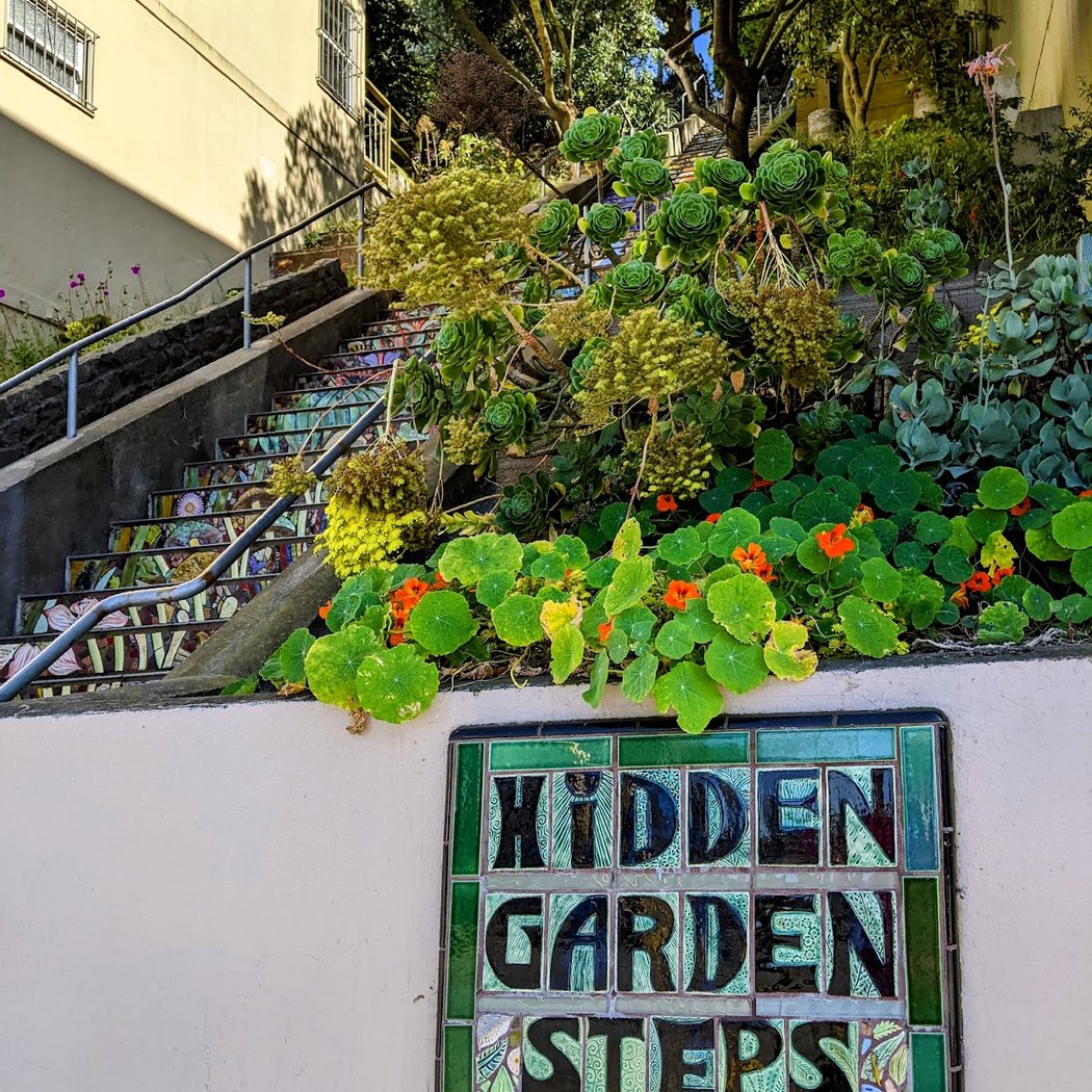 Hidden Garden Steps 5