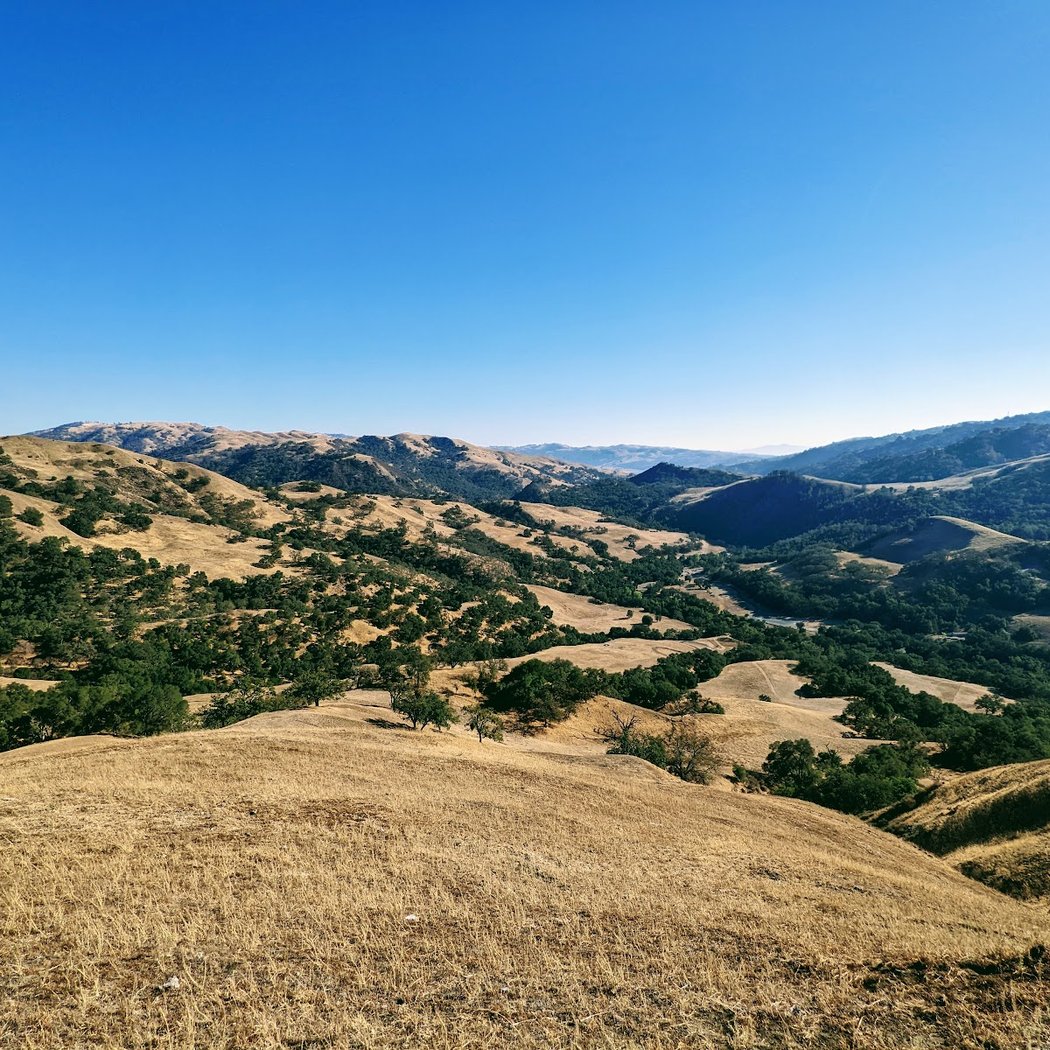 Flag Hill Trail 2