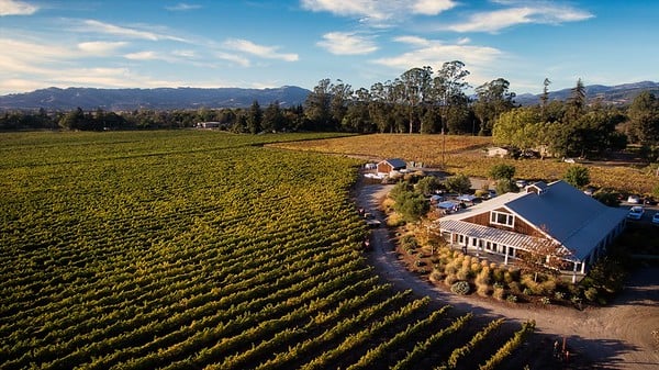 Sangiacomo Vineyards 3