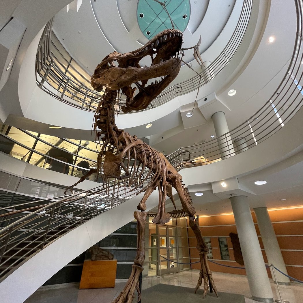 Museum of Vertebrate Zoology 3
