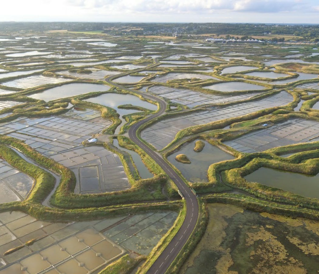 La Roulotte Bleue - vente de sel de Guérande IGP et visites de saline 1