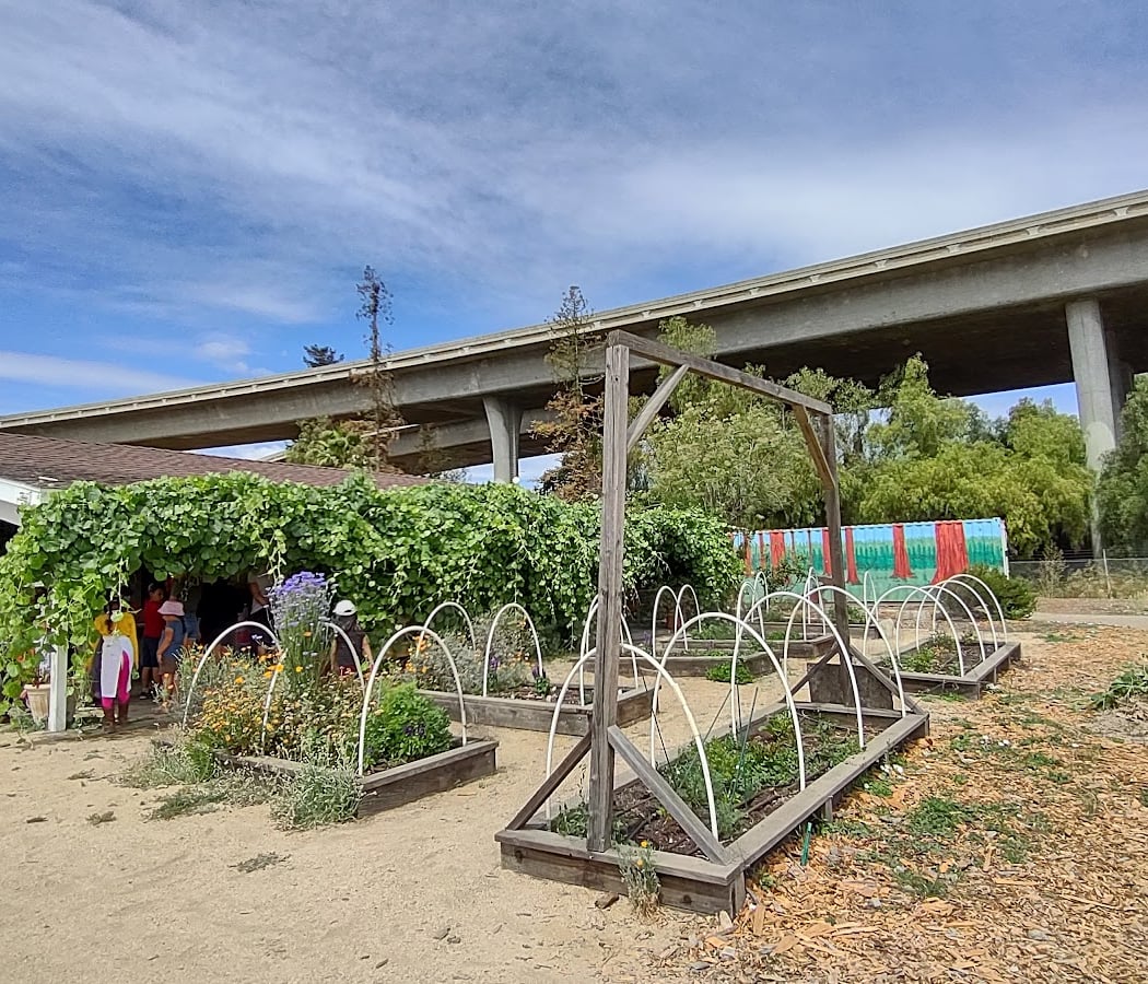 Youth Garden 3