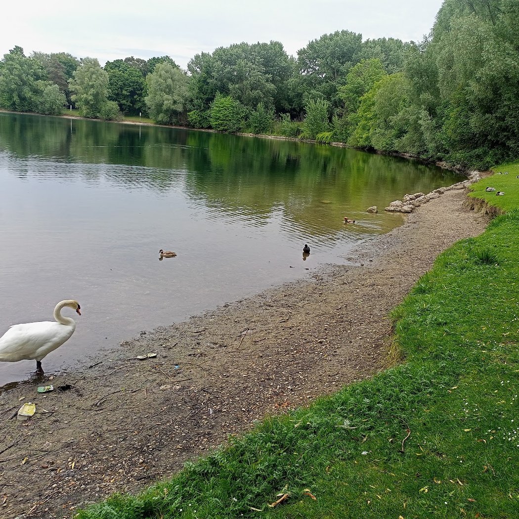 Lerchenauer See 2
