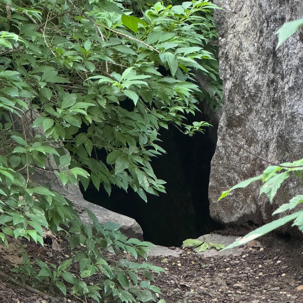 Ramble Cave 3